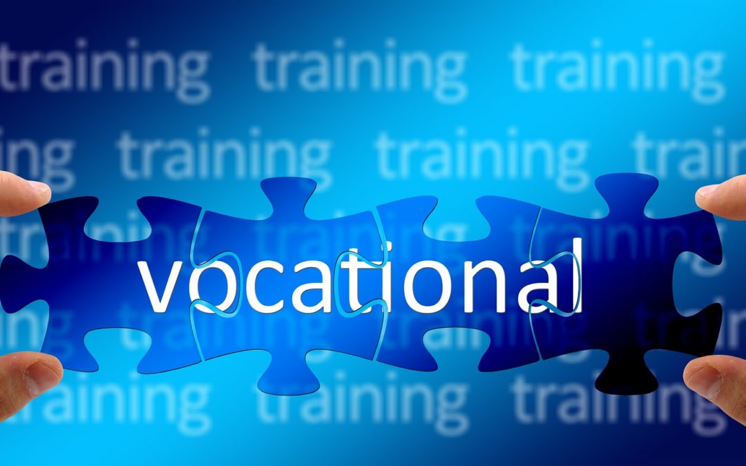 vocational habilitation